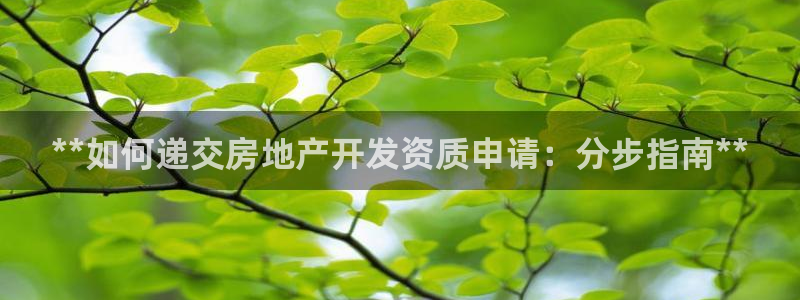 万向娱乐怎么样