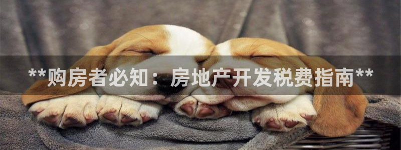 万向娱乐挂机