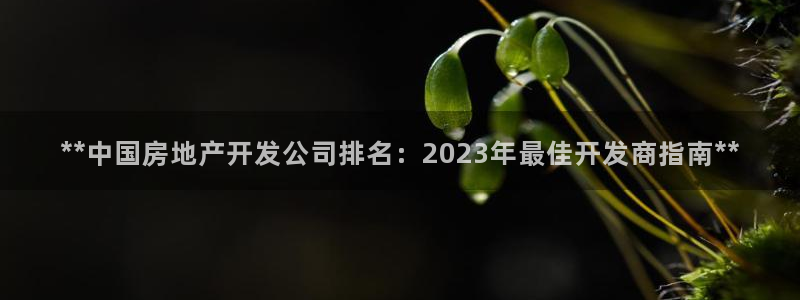 万象国际娱乐网址