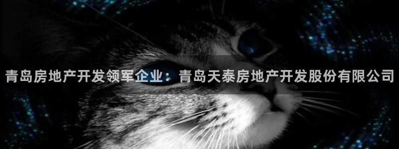 万向娱乐下载安装
