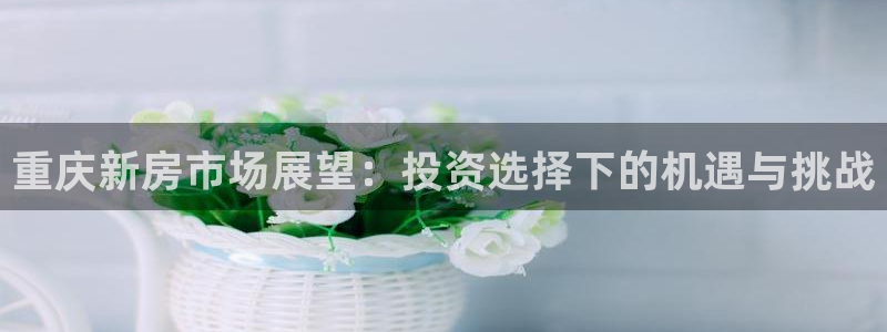 万向娱乐平台代理怎么样可靠吗