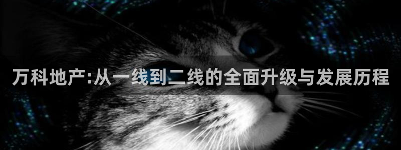 万向娱乐公司官网