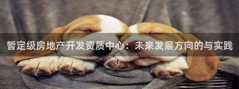 万向娱乐王者荣耀
